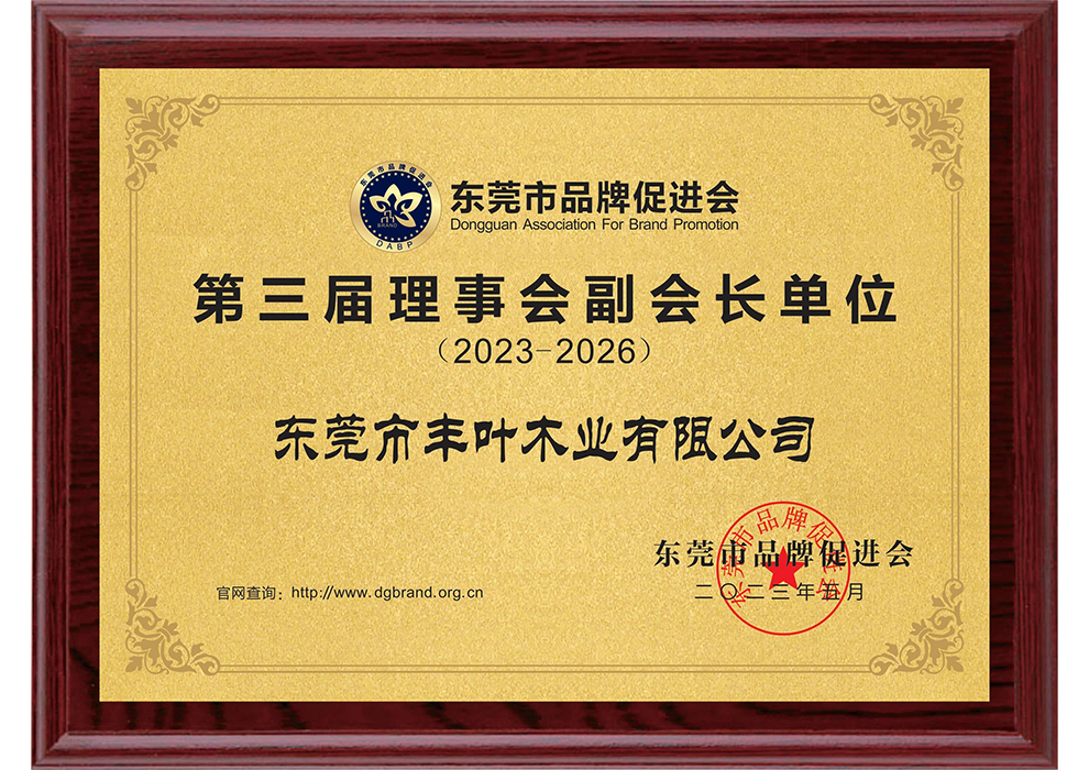 东莞市品牌促进会副会...